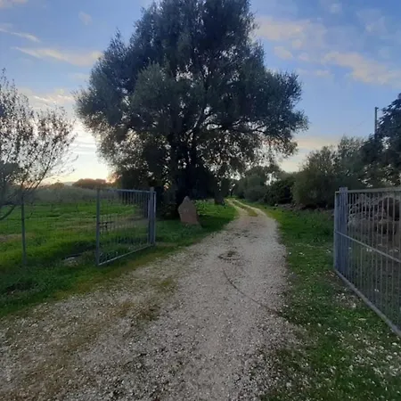 Sa E Grecu Holiday home Orosei